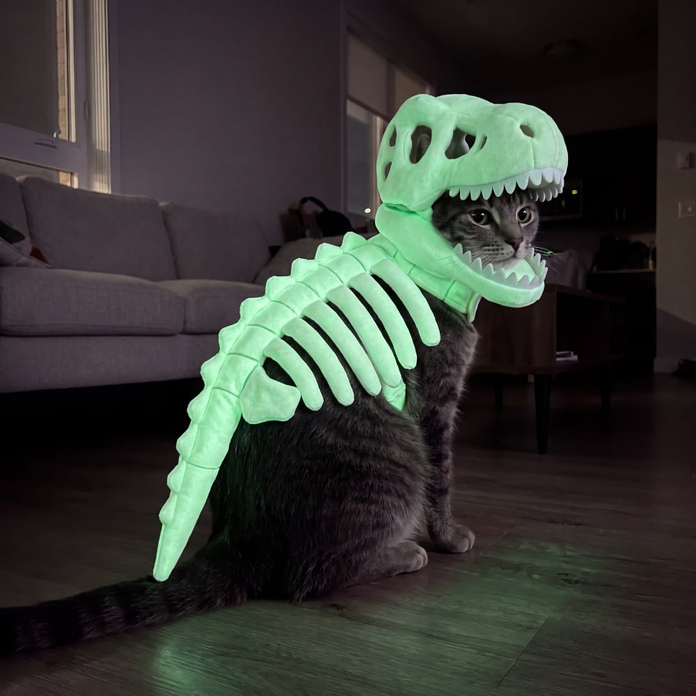 🦖 Halloween Season Sale 49% OFF– Glow-in-the-Dark Dinosaur Skeleton Pet Costume