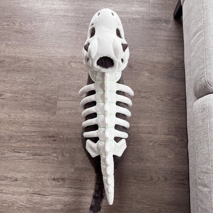 🦖 Halloween Season Sale 49% OFF– Glow-in-the-Dark Dinosaur Skeleton Pet Costume