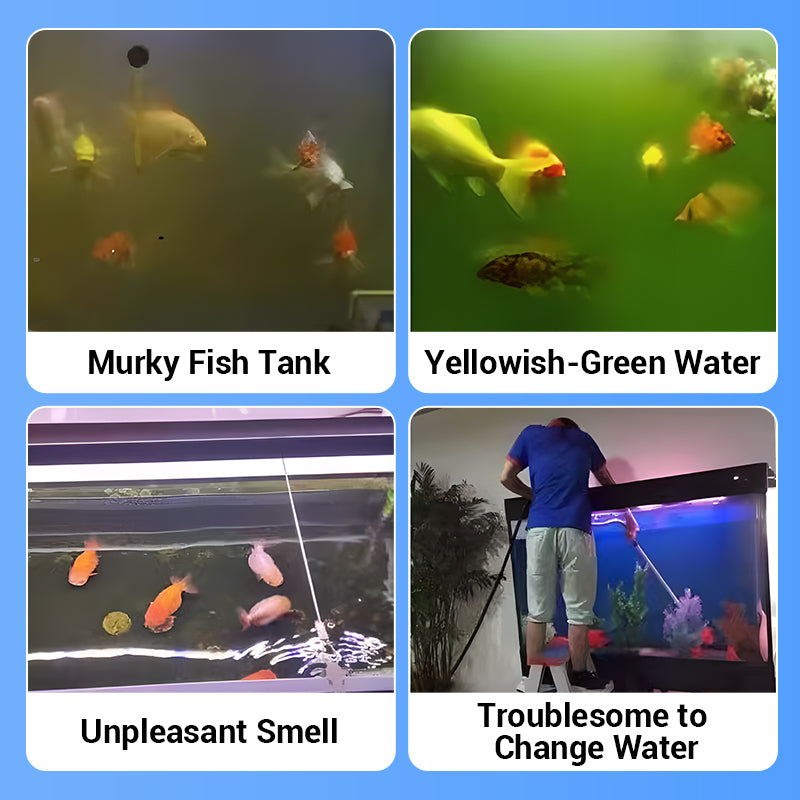 ✨️LAST DAY SALE 60% OFF✨️Powerful Aquarium Water Purification Tablet🌿