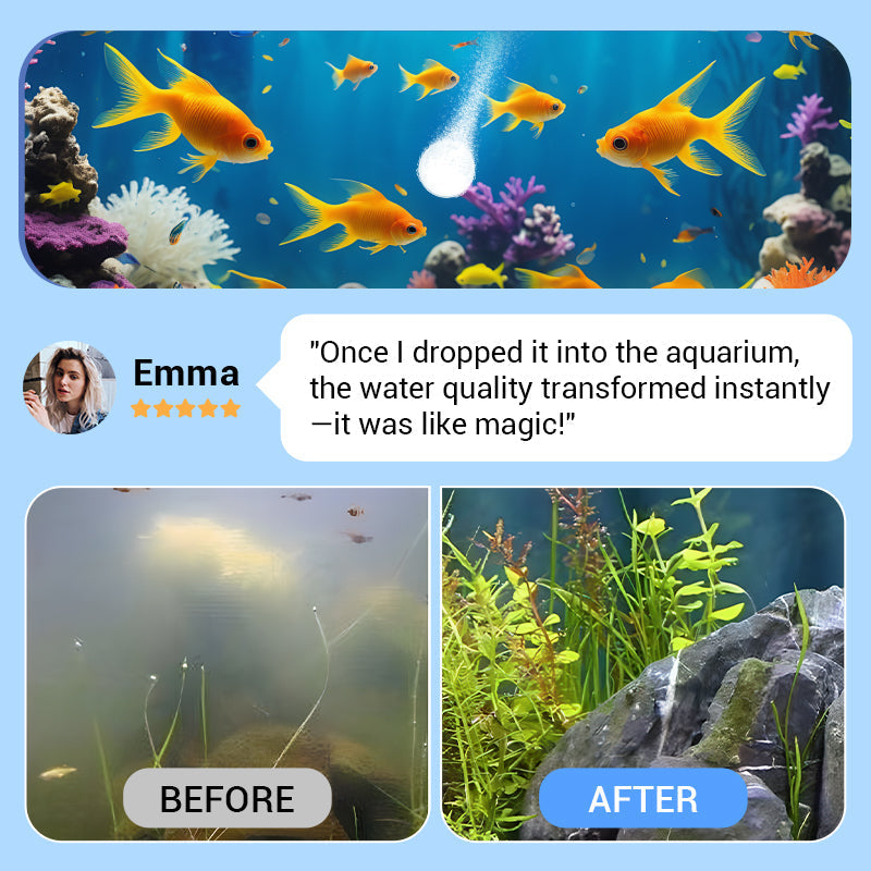 ✨️LAST DAY SALE 60% OFF✨️Powerful Aquarium Water Purification Tablet🌿