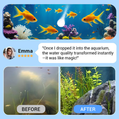 ✨️LAST DAY SALE 60% OFF✨️Powerful Aquarium Water Purification Tablet🌿