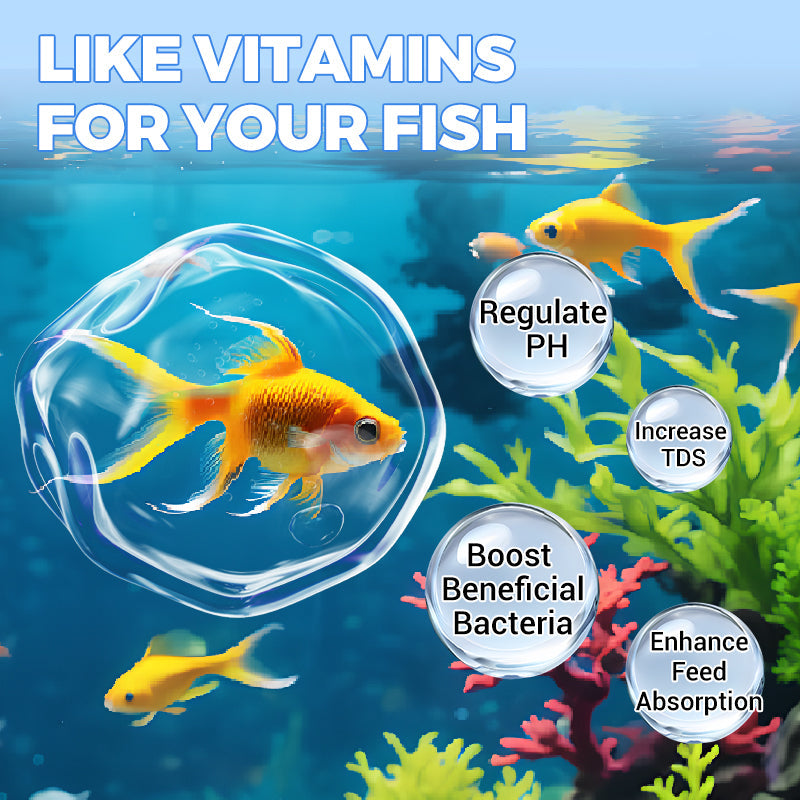 ✨️LAST DAY SALE 60% OFF✨️Powerful Aquarium Water Purification Tablet🌿
